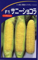 サニーショコラ