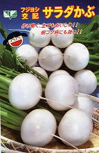 サラダかぶ