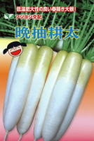晩抽耕太