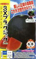 ブラックジャック