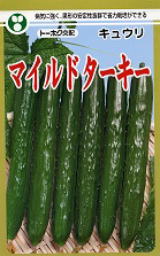 マイルドターキー